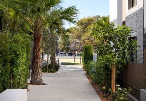 Mosman’s new shortcut might be the best kept secret you haven’t discovered yet.